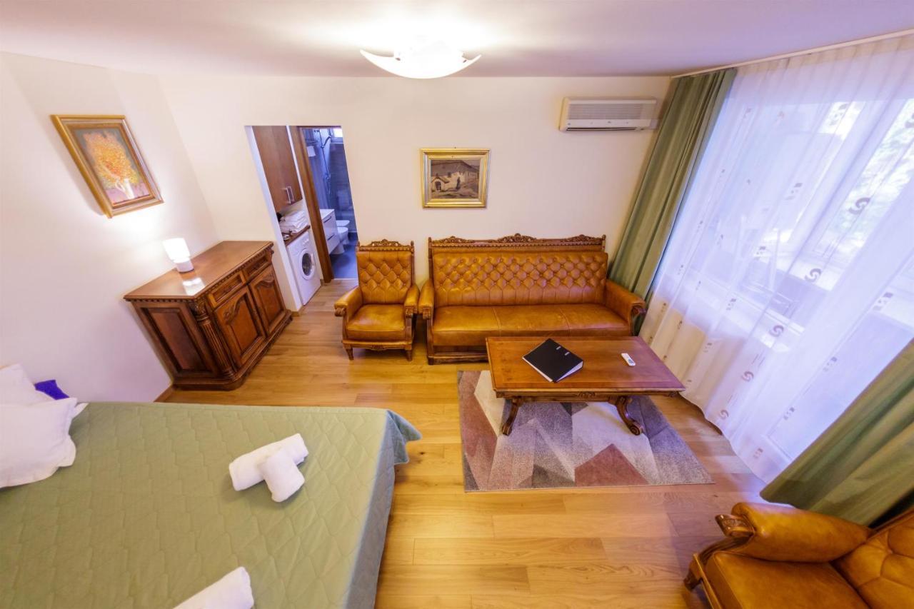Apartament Vintage Rivulus Baia Mare Exterior foto