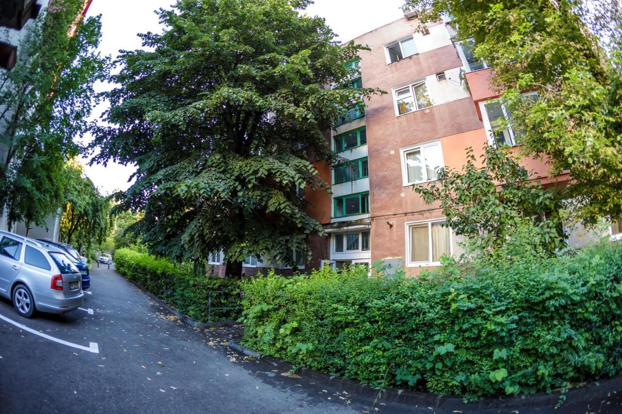 Apartament Vintage Rivulus Baia Mare Exterior foto